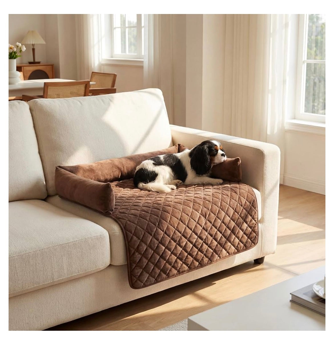 Proteccion para el sofa echa para perros
