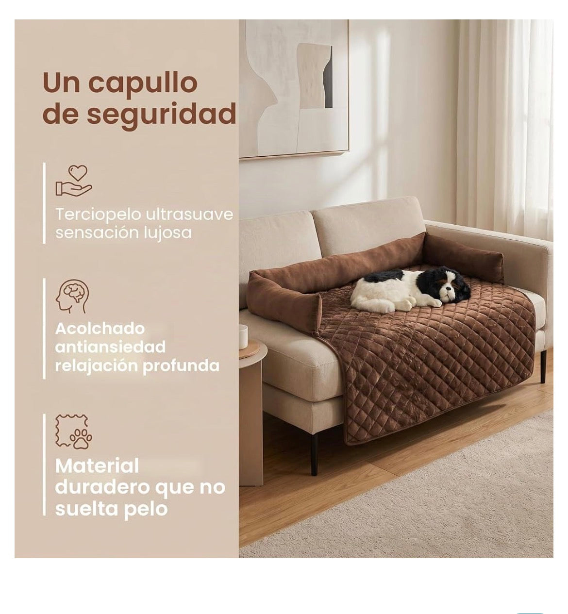 Proteccion para el sofa echa para perros