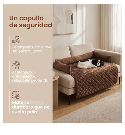 Proteccion para el sofa echa para perros